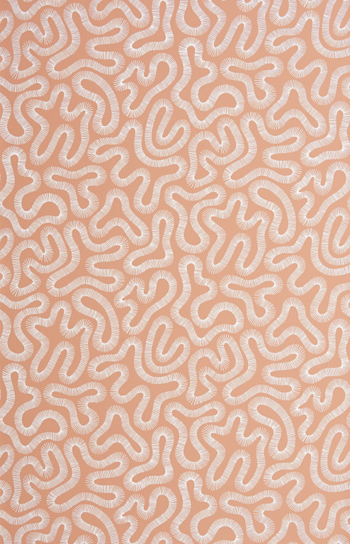 Coral Peach Blush Wallpaper